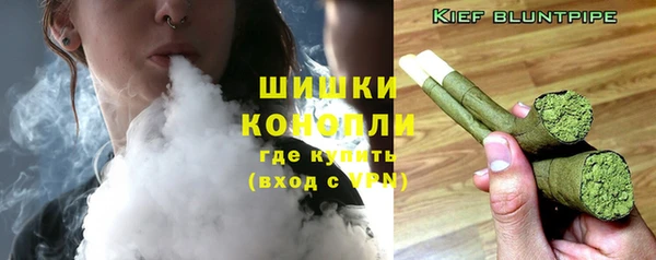 эйфоретик Баксан