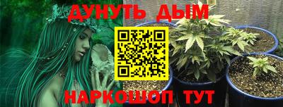 сатива Анжеро-Судженск