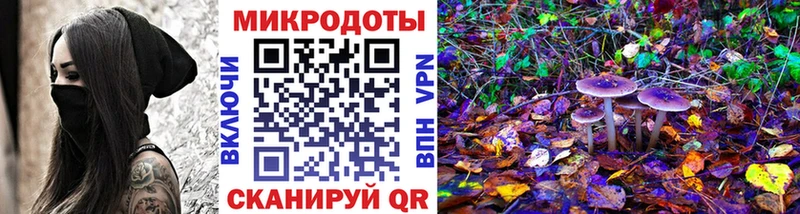 что такое наркотик  Белово  Псилоцибиновые грибы Cubensis 